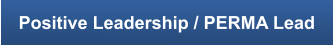 Positive Leadership / PERMA Lead