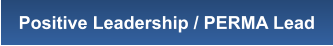 Positive Leadership / PERMA Lead